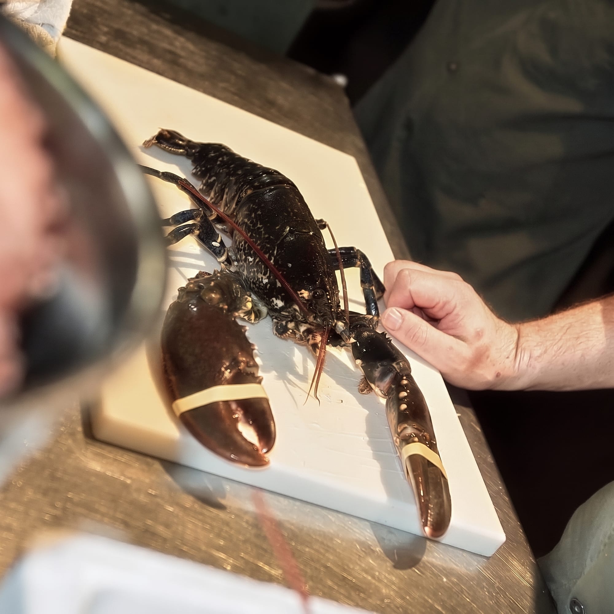 Bogavante revisado pieza a pieza antes de servirse